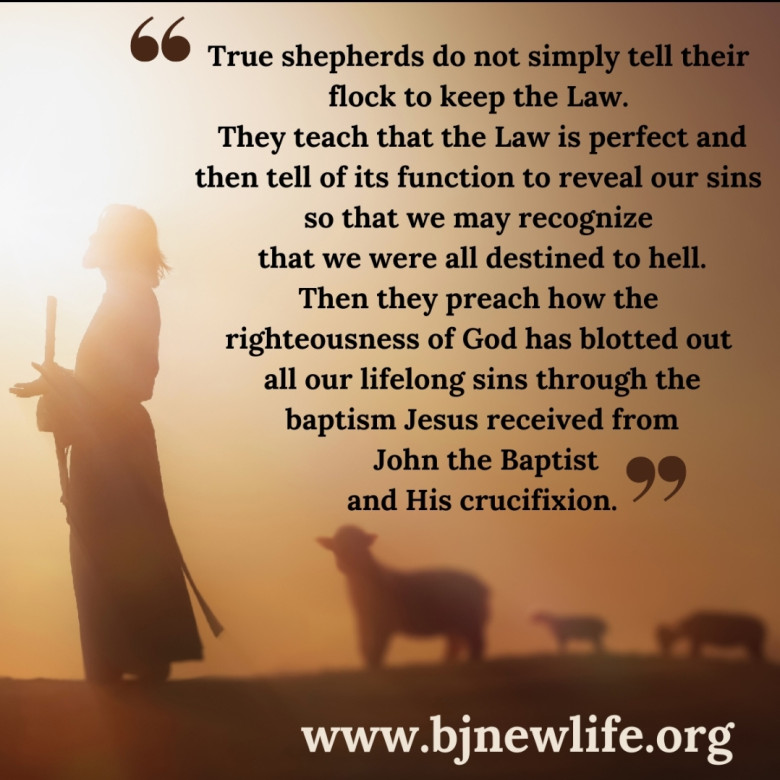 We must differentiate properly between the true good shepherds and the false shepherds.